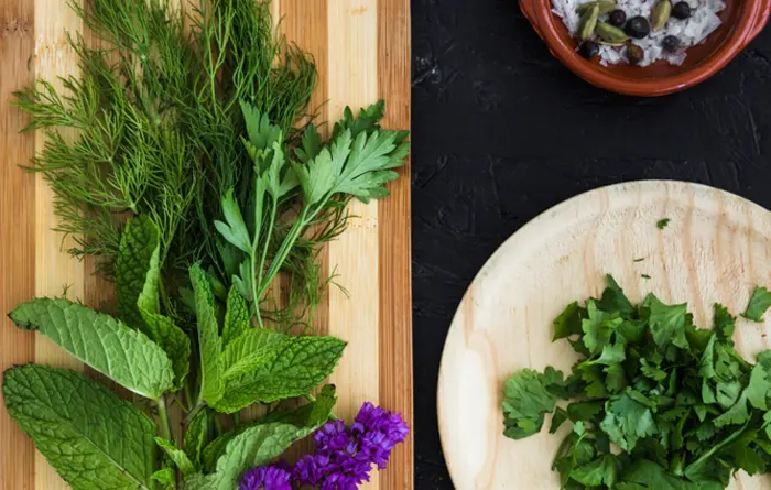 Com muntar una prestatgeria de plantes aromàtiques a la cuina  - Esteve Estudi Cuina i Bany - Sabadell