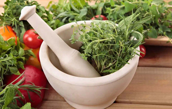 Com muntar una prestatgeria de plantes aromàtiques a la cuina - Esteve Estudi Cuina i Bany - Sabadell